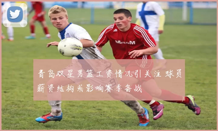 青岛双星男篮工资情况引关注 球员薪资结构或影响赛季备战