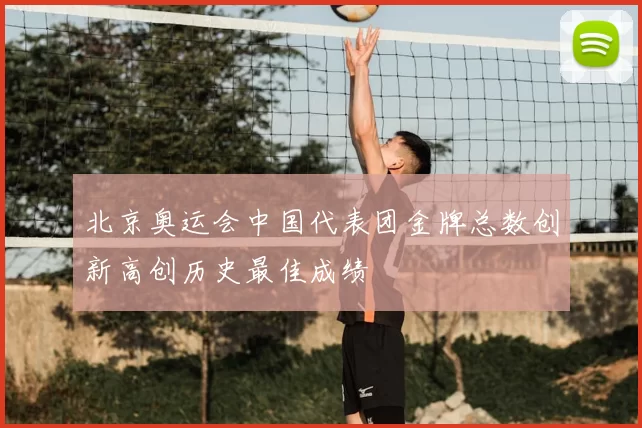北京奥运会中国代表团金牌总数创新高创历史最佳成绩